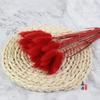 Coelho cauda grama buquê de flores secas flor material photo frame decoração diy material eterno flor rabo de cachorro grama atacado adereços de tiro