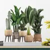 Br66603 Planta Tropical Hoja de Plátano Cactus en Maceta Pegatina de Pared Autoadhesiva Decoración para Sala de Estar Dormitorio Baño