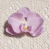 Flor Phalaenopsis Tamanho Pequeno Cabeça de Flor Chapéu Flor Casamento Caixa de Doces Flor Feita à Mão Flor Decorativa para Roupa Material para Flor DIY Feita à Mão