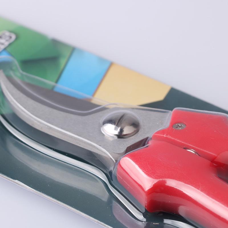 012红柄园林剪副图1