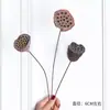 Algodão de Xinjiang Flores Secas Luxo Eterno Buquê Real Pinhões Naturais Secos ao Ar Kit de Material DIY Ornamentos Decorativos Estilo Ins