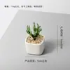 Adornos de Vidrio de Zibo, Plantas en Maceta de Palmera de Coco, Paisajismo para Acuarios, Decoraciones Simuladas de Vidrio para Mesa de Entrada, Mueble de TV