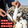 Colcha de Algodón de Fibra Larga de Primera Calidad de Xinjiang Núcleo de Relleno de Algodón Colcha de Algodón Engrosada Cálida Base de Colcha Colcha de Algodón para Estudiantes Colcha de Invierno