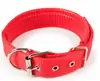 Collar de Nylon Ancho con Acolchado de Espuma y Hebilla Ajustable de Fábrica, Resistente al Desgaste y Anti-Estrangulamiento para Perros Grandes y Medianos