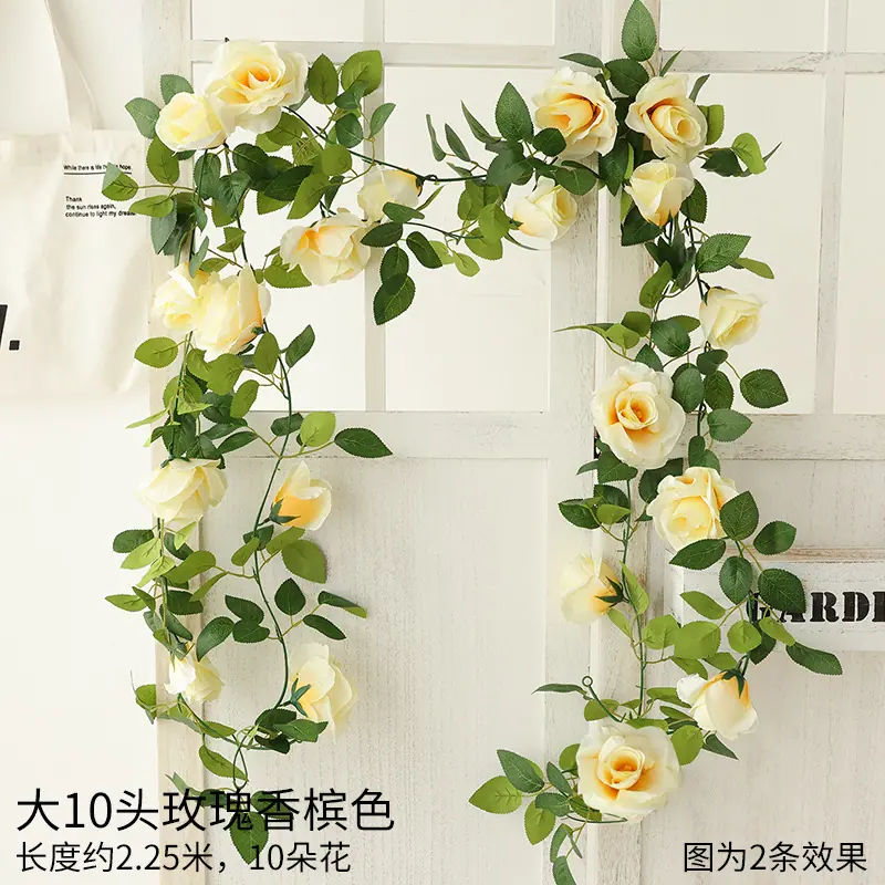 2.jpg?x-oss-process=image/format,png
