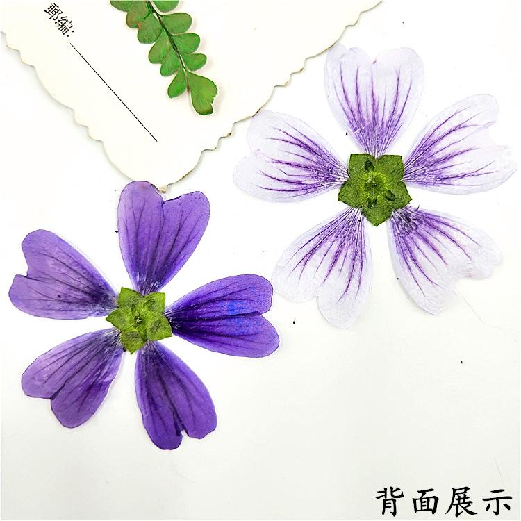 IMG20190914145738.jpg