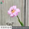 Tulipanes de Cara Sonriente, Narcisos, Muebles para Sala de Estar Interior del Hogar, Flores de Seda, Fotografía de Exhibición Comercial, Flores Artificiales Decorativas