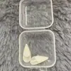 Presas de Vampiro de Halloween Dentes de Zumbi Dentes de Tigre Adereços de Fantasia para Cosplay e Baile de Máscaras