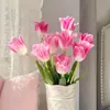 Bulbos de Tulipán, Bulbos de 5 Grados, Semillas de Flores, Adecuados para Cultivo en Tierra/Hidroponía, Resistentes al Frío, Germinación Rápida, Fáciles de Cultivar en Jardines y Balcones, y Fáciles de Sobrevivir