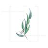 Múltiplos Prints de Arte de Folhas de Plantas Minimalistas Modernos Nórdicos, Pinturas Decorativas, Pôsteres de Casa em Tela a Óleo, Arte de Parede Sem Molduras