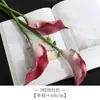 Lirios de Calas Grandes de Simulación EVA Cabeza Única Lirios de Calas con Tacto Real Decoración de Bodas Floricultura Flor Artificial Alocum Flor de Simulación