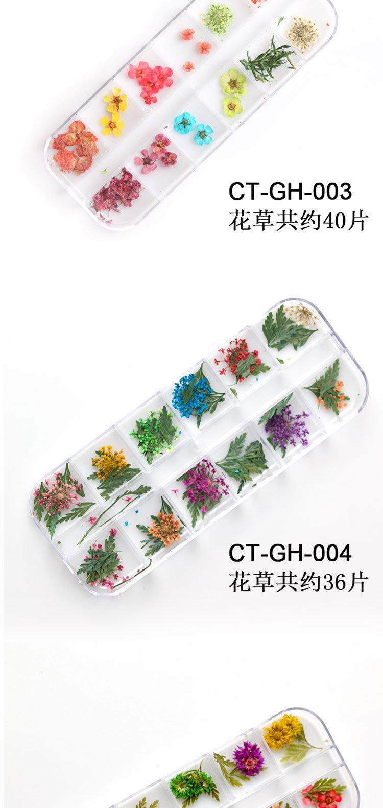 干花_05.jpg
