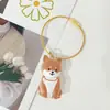 Nuevo Colgante Transparente de Acrílico Almacenamiento de Pelo de Mascota Gato Colección Conmemorativa de Pelo de Perro Colgante de Llavero Venta al por Mayor