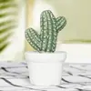Cerámica Artesanía Nórdica Adornos Hogar Cactus de Simulación Decoración Creativa Pequeños Regalos Directo de Fábrica al Por Mayor