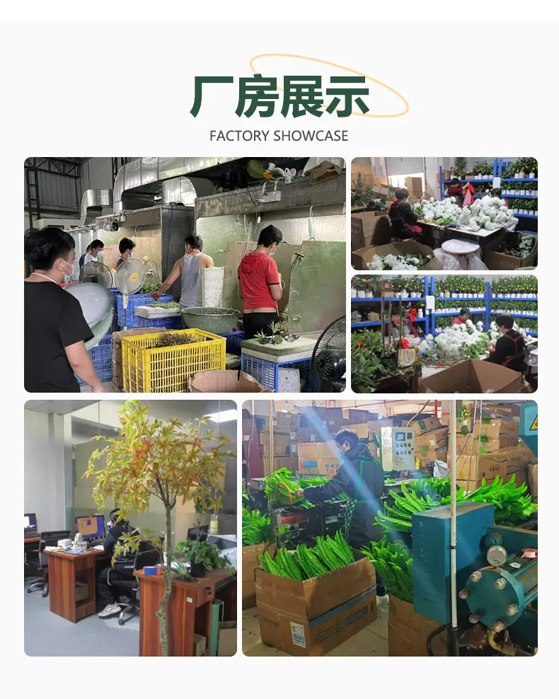 通用详情页_02.jpg