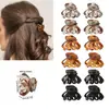 Pinzas para el Cabello Macarrón Estilo Nuevo Transfronterizas, Set de Lujo de 12 Piezas, Mini Pinzas para el Cabello, Pinzas para Cabello Trenzado, Pinzas Laterales para el Cabello