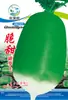 Semillas de Verduras Variadas para Otoño e Invierno, Semillas de Col China, Plántulas con Alta Tasa de Germinación, Nuevas Variedades de Colza Empresas Mayoristas