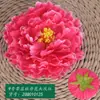 Simulado No. 9 Flores de Peonía con Estambres, Fondo de Boda, Pared de Flores, Arreglo Floral para Guía de Camino, Suministro Transfronterizo de Flores de Peonía de Seda