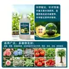 Ocho Tipos de Protectores Genuinos Resistentes al Calor para Prevenir el Agrietamiento, Mejorar la Dulzura, Suplementar Nutrientes, Mejorar la Inmunidad y Fertilizantes Solubles en Agua