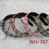 Diadema de Tela a Cuadros Estilo Coreano Estilo Chanel Anudada, Accesorio Básico de Lazo de Moda, Venta al por Mayor para Suministro en Mercados Nocturnos