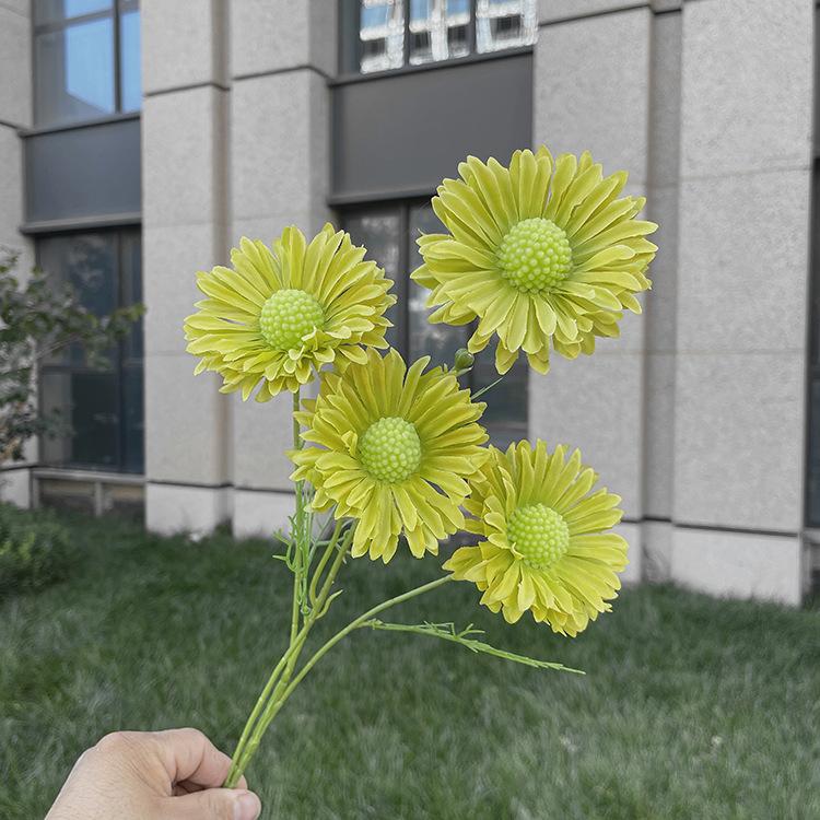 4头单支虫草花-sxwlx-绿色.JPG