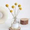 Fantásticos productos nuevos [varilla volátil de aromaterapia sin fuego, flores secas especiales] decoración del hogar, materiales creativos de flores secas de bricolaje