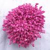 Centros y Estambres de Flores de Espuma de Espiga de Trigo Altamente Realistas, Centros de Flores de Espuma de Peonía, Fabricante de Materiales para Flores Serigrafiados