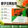 Potente Solución Revitalizante Específica para Clivias para Salvar Raíces Podridas, Hojas Amarillas y Prevenir la Falta de Floración, Promoviendo Nuevos Brotes y Floraciones Abundantes
