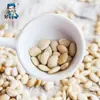 Lentilhas Brancas 500g, Grãos Frescos Secos, Novas Lentilhas Brancas, Não Fritas, Atacado e Varejo para Uso Comercial