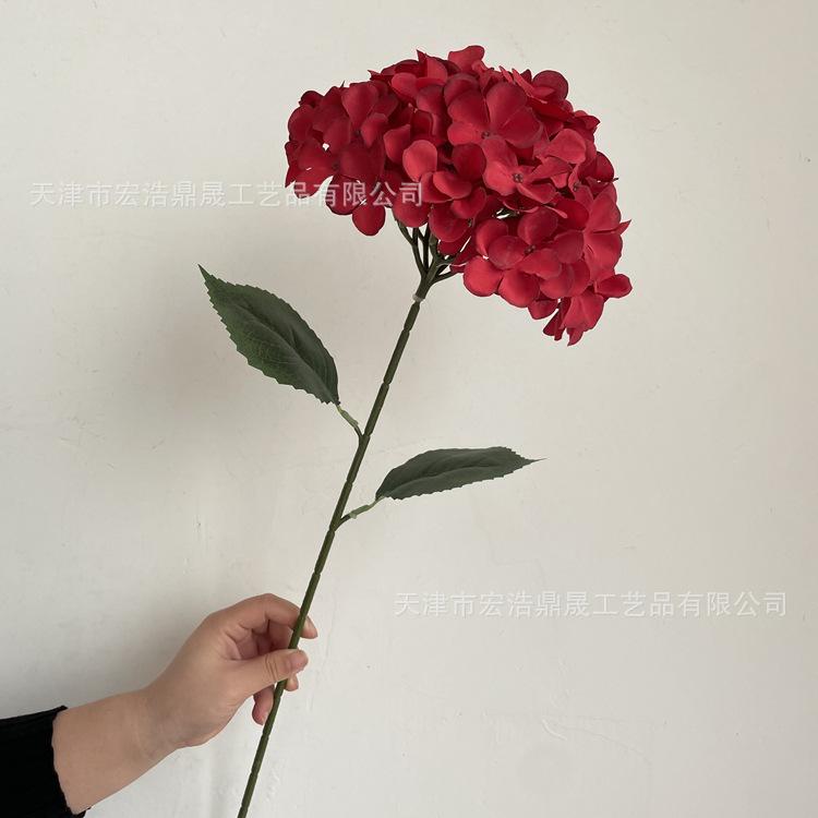 微信图片_20221212113342_副本