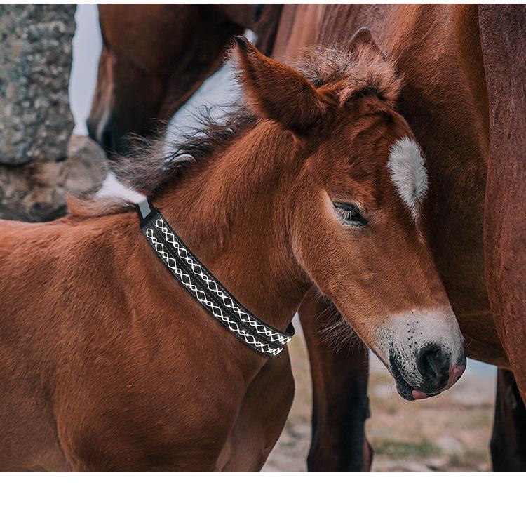 K4002-LED绳绣马脖 (12).jpg?x-oss-process=image/format,png