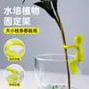 Ferramenta de suporte para plantas hidropônicas para crescimento e prevenção de tombamento, decoração de mesa, fixador de jardinagem