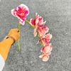 Phalaenopsis Simulada de 9 Cabeças Filme 3D Exclusivo Transfronteiriço Flor Única Artificial ao Toque Arranjo Adereços para Fotografia de Casamento ao Ar Livre