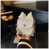 Bolsa de Palha Trançada Patchwork para Mulheres, Design de Nicho, Nova Moda Verão 2026 Bolsa Acolchoada com Corrente, Estilo Popular de Ombro e Transversal