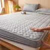 Fabricante directo de cubiertas de colchón de terciopelo de leche, estilo invierno, engrosadas y forradas de felpa, especialmente diseñadas para dormitorios de estudiantes, tatamis cálidos, venta al por mayor