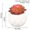 Suculenta Planta Taça de Diamante Bonsai Decoração Casa Escritório Es1178-4 Paisagem em Microfibra Aveludada Mini Alta Simulação