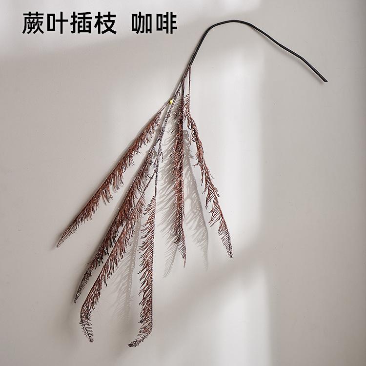蕨叶插枝  咖啡