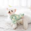 Roupas para gatos Nova Daisy Primavera suéter de veludo fino ursinho de pelúcia cachorro cachorro pequeno cachorro gato roupas