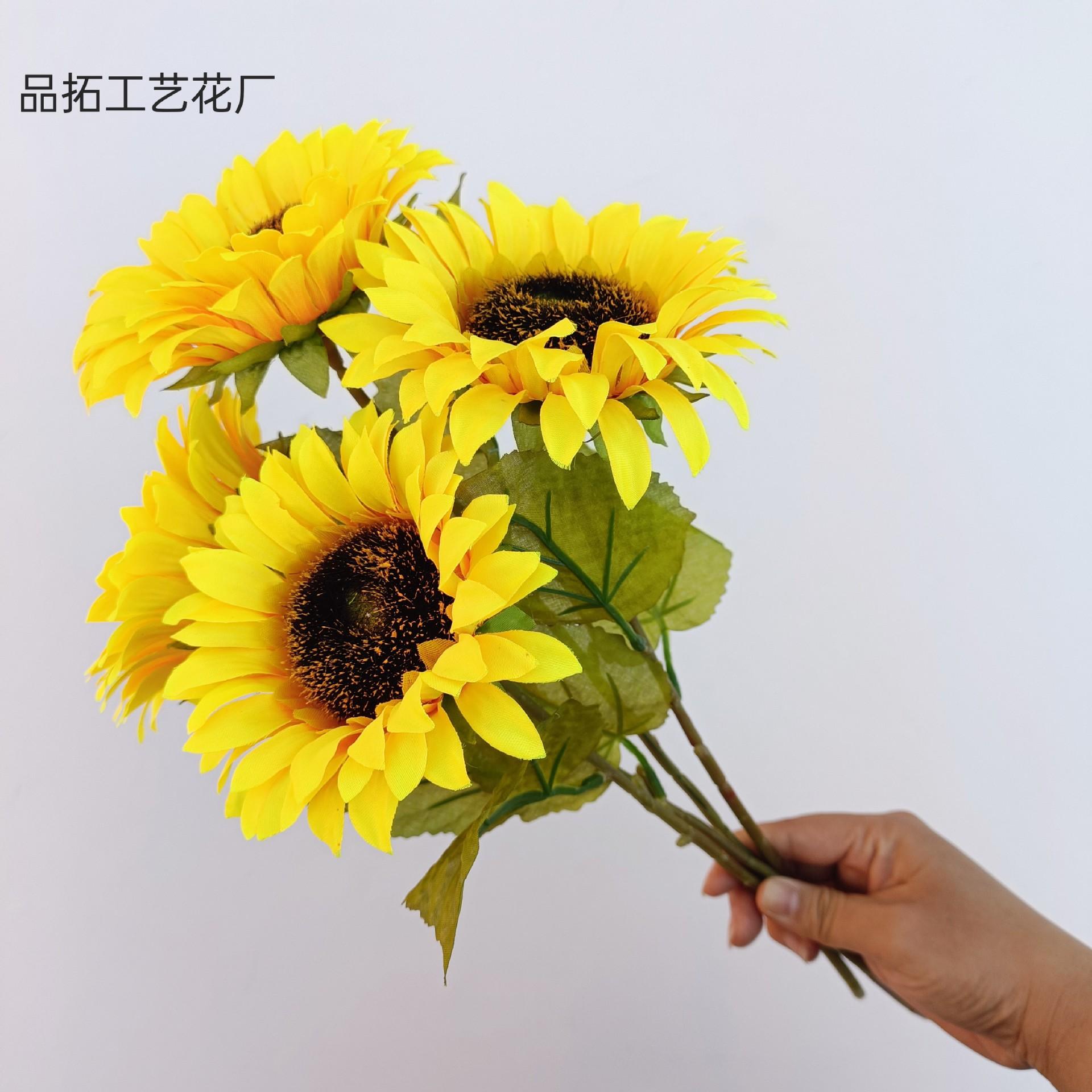 8ee1047c2f22d8d0f5d2147c31c3fc