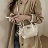 Bolsa Transversal Modelo Dumpling com Padrão de Lichia Vintage para Mulheres, Grande Capacidade Novo Modelo 2026, Bolsa Tote de Mão/Ombro de Alta Qualidade