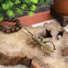 Adorno de Mascota de Té Saltamontes de Cobre Puro Tapa de Latón Soporte para Tapa de Olla de Hierro Juguete de Té de Simulación Creativa Accesorios para Juego de Té Kung Fu