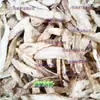 Caracola de Montaña Natural Pura Producto Nuevo 500g Material Medicinal Chino Silvestre Raíz de Cabra Ginseng de Cuatro Hojas Productos Frescos Secos