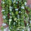 Cuentas de Caracol Herradura de Aguas Profundas Material A Siete Colores Irregulares Cáscara Piedra Pequeña Accesorios de Decoración DIY Ropa Cortina de Puerta