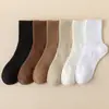 Calcetines de Mujer para las Temporadas de Primavera y Verano, Absorbentes del Sudor y Transpirables, Calcetines Ins de Color Sólido, Calcetines Bajos Tipo Barco, Calcetines Cortos al por Mayor Zhuji