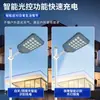Lámpara de Calle Integrada Solar Transfronteriza Lámpara Solar Ip65 Impermeable Lámpara de Calle Solar de 600W