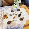 Nuevos Pendientes Retro Europeos y Americanos Mori de Gama Alta Creativos Largos de Madera con Borla de Fruta Seca Natural Estilo Étnico
