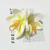 Didy No Tiene Miedo del Mismo Pasador Verde de Phalaenopsis Flor Lateral Flor Artificial Tocado Accesorios para el Cabello de Viaje a la Costa