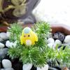 Adornos Decorativos de Paisaje en Miniatura, Tulipanes y Margaritas de Arcilla Suave, Inserciones de Paisajismo para Acuarios Ecológicos Simulados, Paisajismo Ecológico