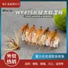 Wy475 Pernudo Grande Mosquito Mosca Úmida Biónica Isca Pesca com Mosca Isca Artificial Fabricante