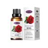 Óleo essencial de aromaterapia solúvel em água transfronteiriço 30ml umidificador interno sem fogo ar rosa aromaterapia óleo essencial